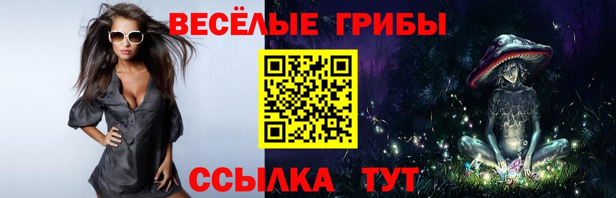 Красногорск  Галлюциногенные грибы Cubensis  Галлюциногенные грибы мицелий  Вход с VPN 
